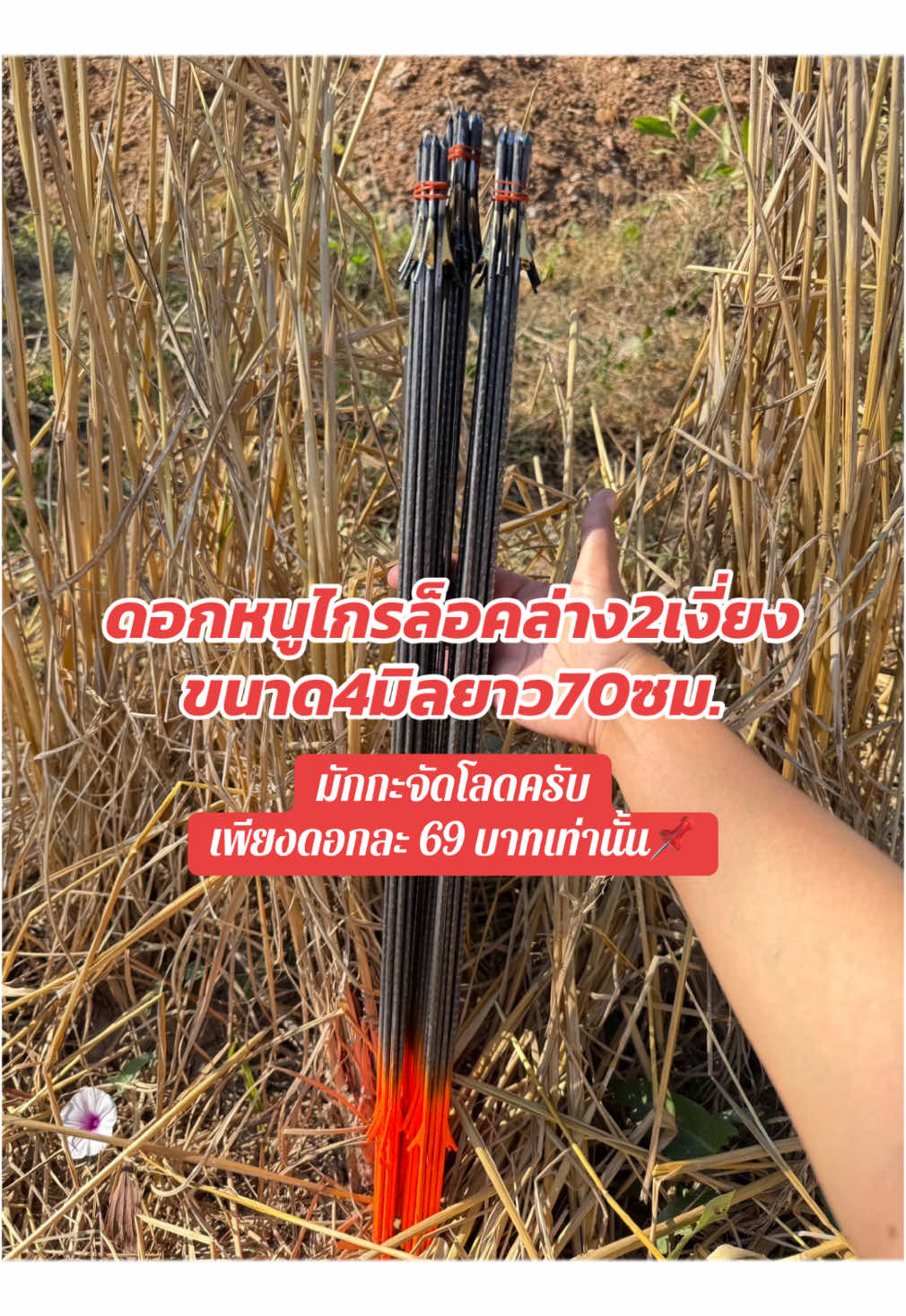 #ลูกดอกหนูเชื่อมทองเหลืองระบบไกรล็อคล่าง2เงี่ยงแบบผูกพ่นสีสะท้อนแสง #สนใจกดสั่งสินค้าในตะกร้านะครับ🙏🙏 #มีบริการเก็บเงินปลายทางครับ🚚📦 