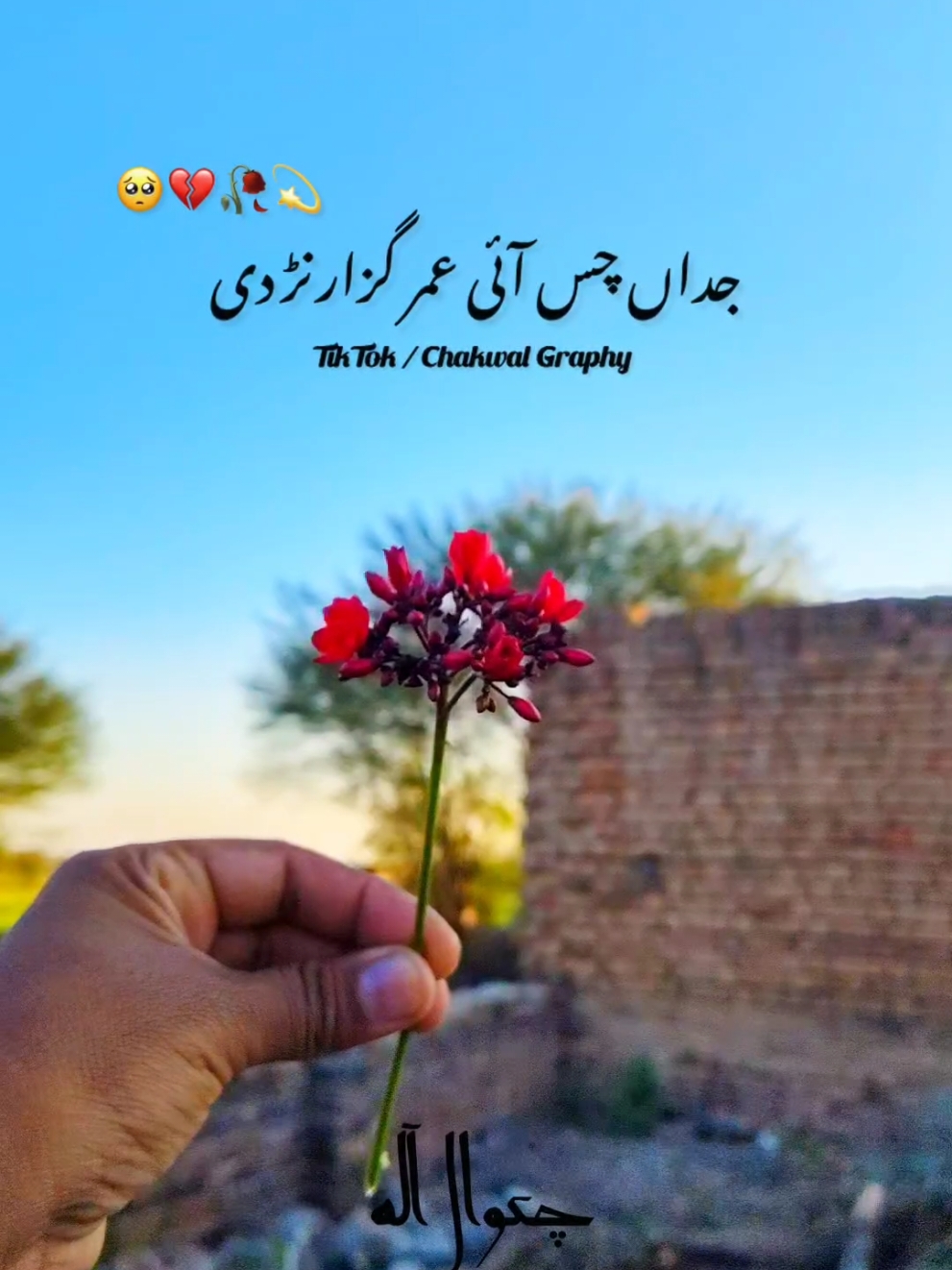 جداں چس آئی عمر گزارنڑ دی 💔🥺 #foryoupage #ahsiestics #پنجابی_دوہڑہ #chakwalian #punjabidhoray #fyp #trendingvideo #چکوال #viral 