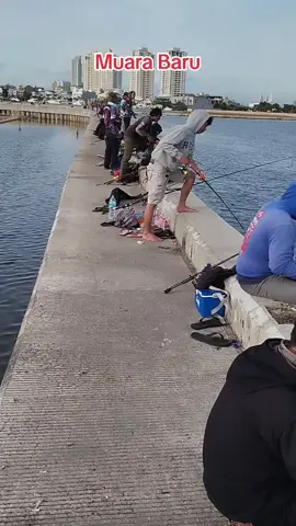 Penampakan ikan target muara baru#muarabaru #Mancing #strike #janganlupabahagia 