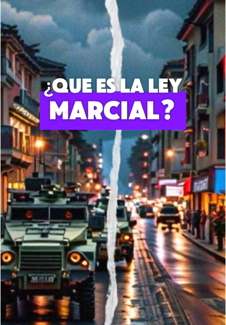 ¿Que es la Ley Marcial? 🤔 #fyp #leymarcial #coreadelsur #regimen #politica #viral #noticia 