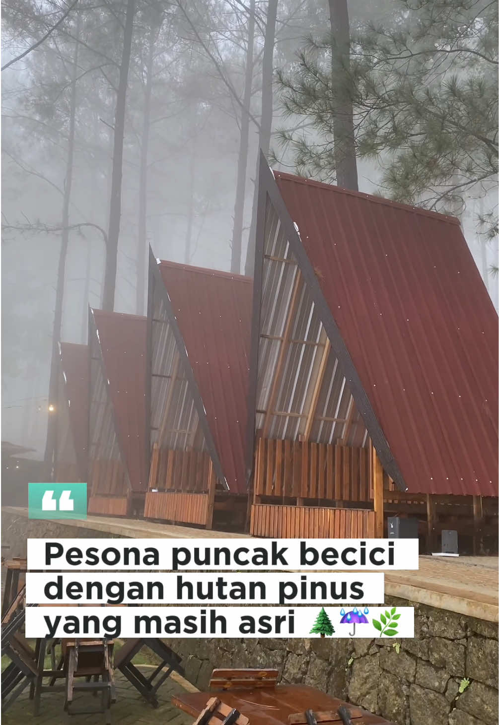 Kabut terlalu tebal hingga jarak pandang hanya sebatas teman 🥺 Ada yang punya kenangan disini? #puncakbecici #pinusbecici #dlingo #jogjaexplore #jogjaistimewa #fyp #yogyakarta 