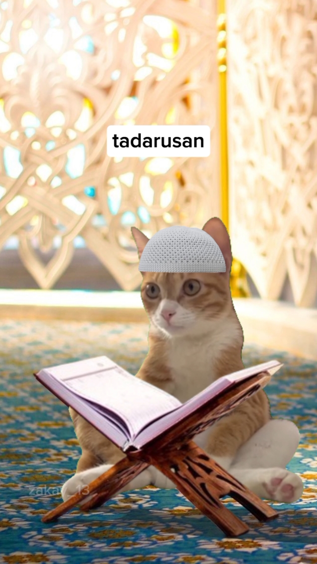 bentar lagi ramadhan 🥹 #ramadhan #puasa #ramadhan2025 #pov #nostalgia #pet #catlovers #fyp #masukberanda #memekucing #meme #lucu #kucing #catlover #trend #memestiktok #miaw #animals #cattiktok #anabul 