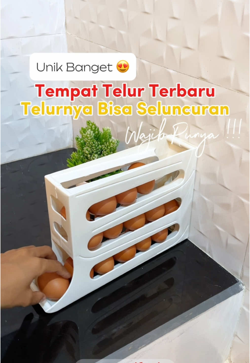 Unik Banget Tempat Telurnya ❣️ Telurnya Bisa Seluncuran 😍  . #tempattelur #tempattelor #raktelur #raktelur2tingkat #raktelursusun #raktelurunik 