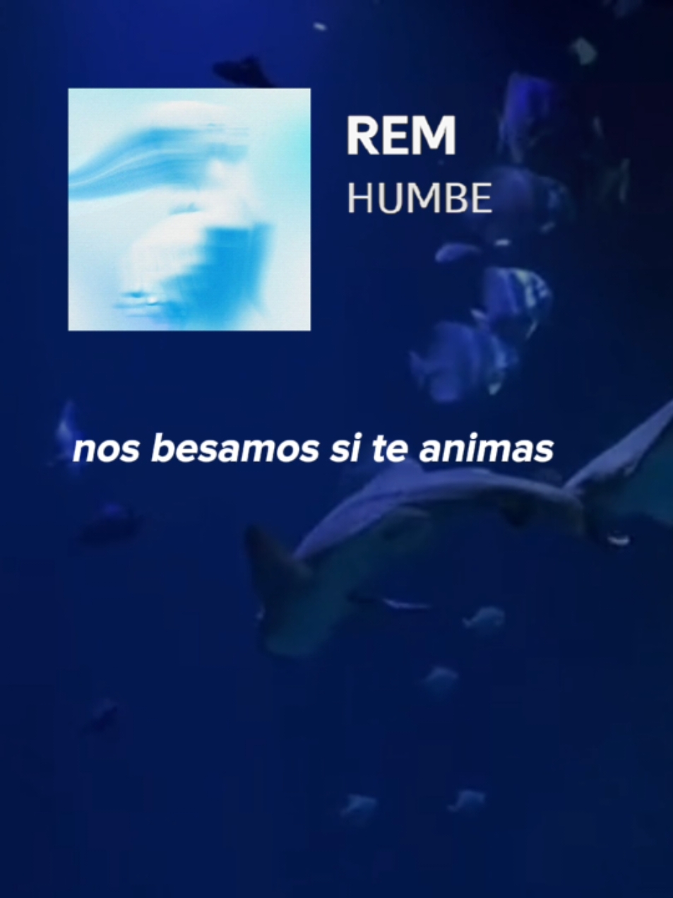 🩵 #rem #humbe #humberto #manada #foryour 