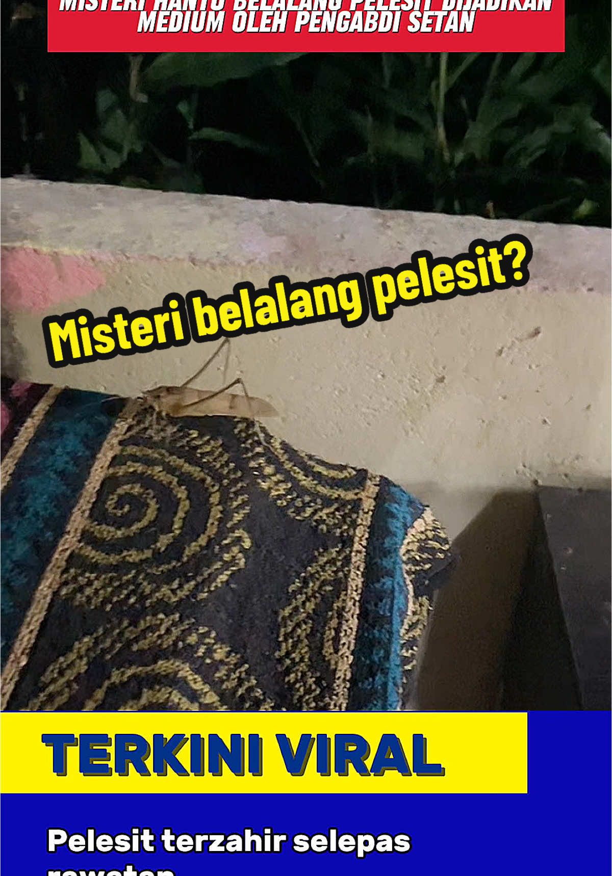 Sekeluarga tekejut belalang pelesit tiba2 muncul selepas berubat 😕. Siapa rumahnya banyak belalang ini?ada maksud tersirat. siapa yang boleh rasa atau hijabnya terbuka akan nampak pelesit hantu apa? #sihir #possessed #kerasukan #malaysia #perawat #jin #belalang 