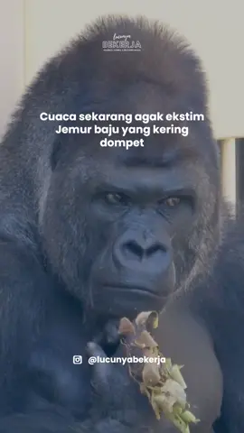 KAU DATANG TAK KUDUGA... #tungguapalagi #laguviral #fypシ゚ #foryoupag #fyp #foryou #foryoupage #song #viral #kingkong #dompetkosong #ngakak