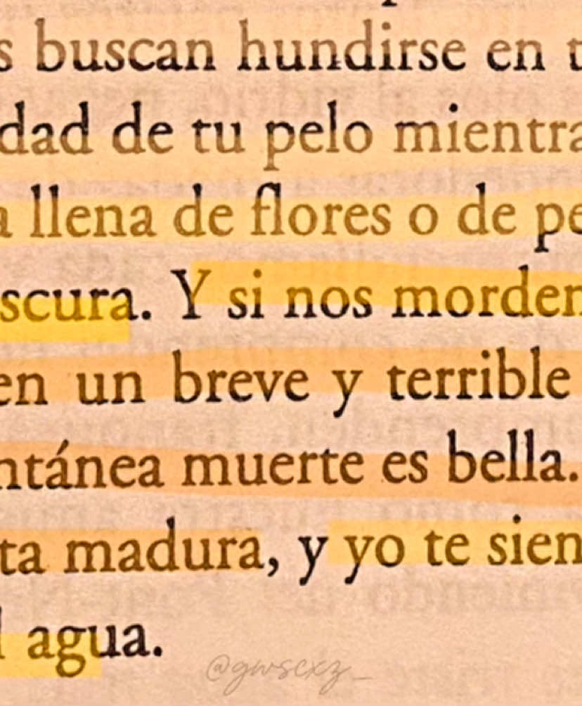 Rayuela - Julio Cortázar  capitulo 7 - - #juliocortazar #julio #cortazar #poema #poesia #literatura #escritor 