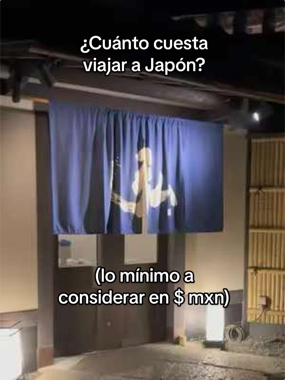 ¿Cuánto cuesta ir a Japón? 🧧Nov 2024, desglose de gastos al final del video #fyp #japon #travel #japan #asia #viajes #vuelos #tokio 