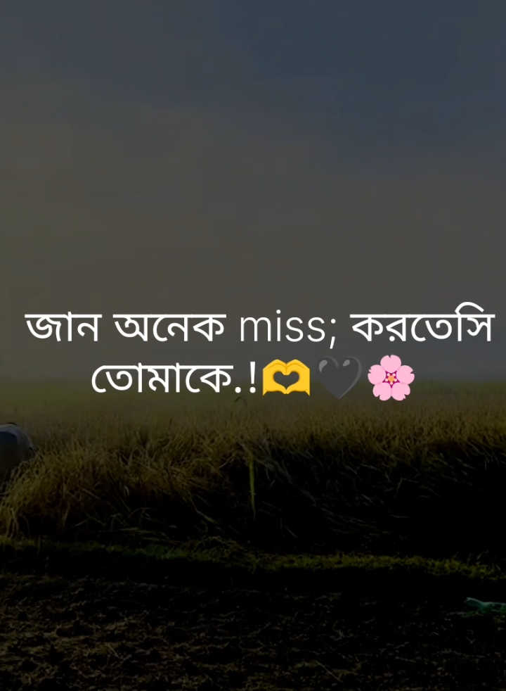 জান অনেক miss; করতেসি তোমাকে.!🫶🖤🌸#fypシ゚ #tiktok #foryou #status #tibro_03 #unfrezzmyaccount 