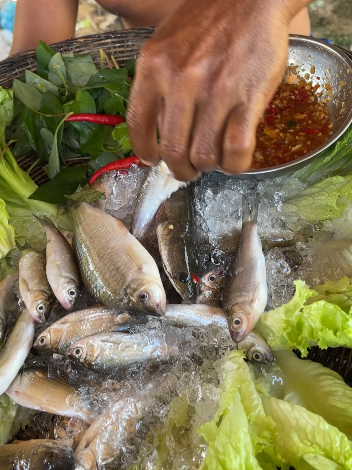 OMG Man eating r.a.w fishes with chili sauce #cooking #eating