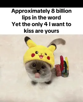 #fypシ #cats #xiaojie 