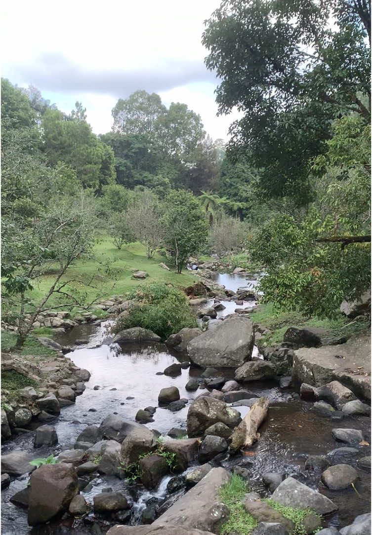 Sesejuk ini tempatnya🍃 #kebunrayacibodas #bogor #cianjur 