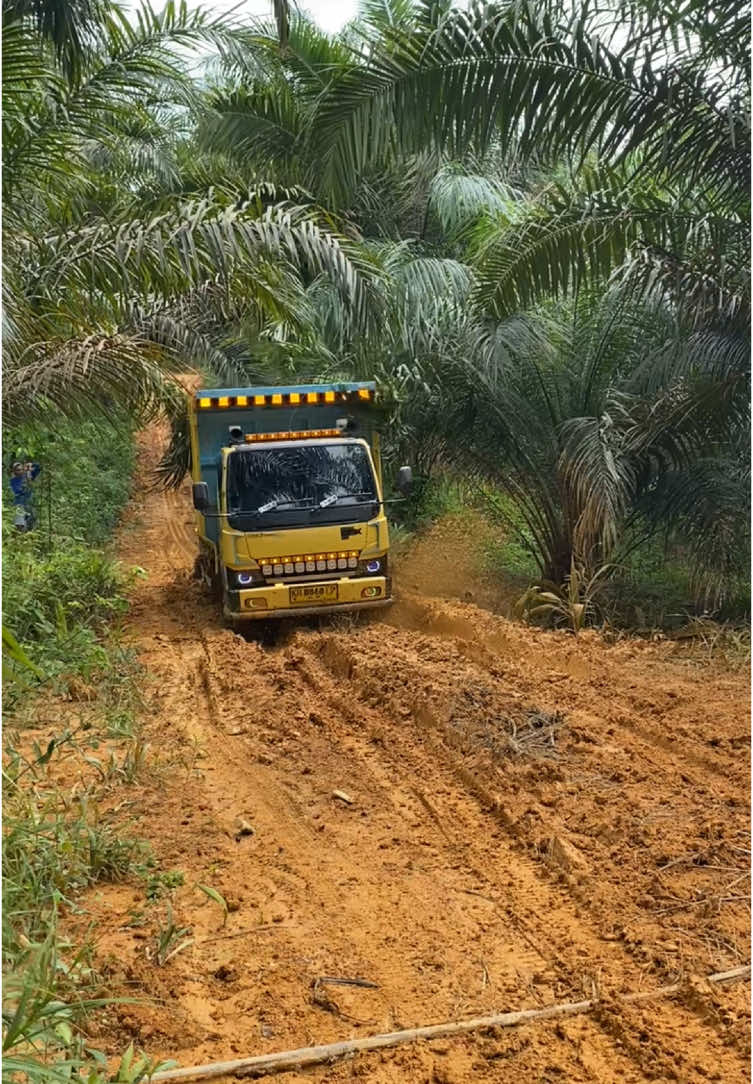 Gim sudah musim hujan ni🫠🫠🫠 #fyp #mobiltruk #storytruk #sawit #sawitkalimantan #trukkalimantan #storytruksawit #storytrukkalimantan 