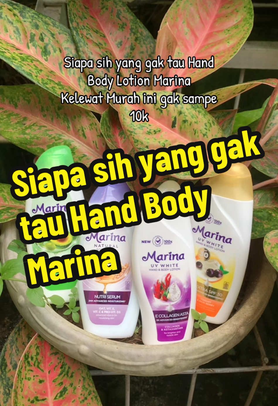 Siapa sih yang gak tau Hand Body Lotion Marina #handbody #handbodylotion #megaguncang1212 #gebyarbelanjadesember 