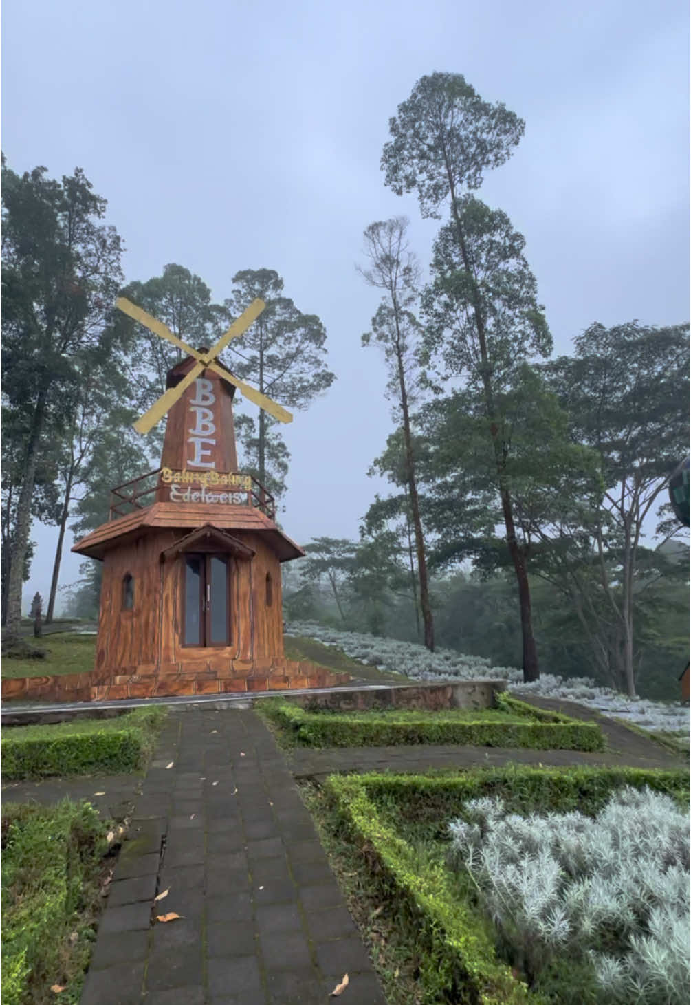 What a beautiful place 😍 #fyp #views #nature #karangasem #fresh #view #adventure #edelweiss #seger 