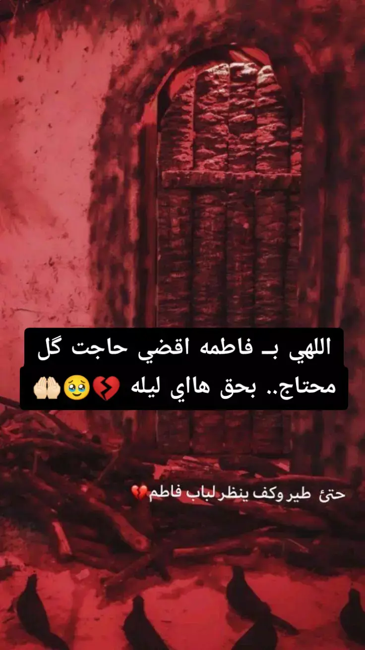 ياا مولاتي💔🥹#اشتشهاد_فاطمه_الزهراء_عليه_السلام #حزينةtiktokحالات😭💯💯💯😭 #تصميم_فيديوهات🎶🎤🎬 #كربلاء_نجف_بغداد_حله_ديوانيه_بصرة #احبكم_يا_احلى_متابعين 