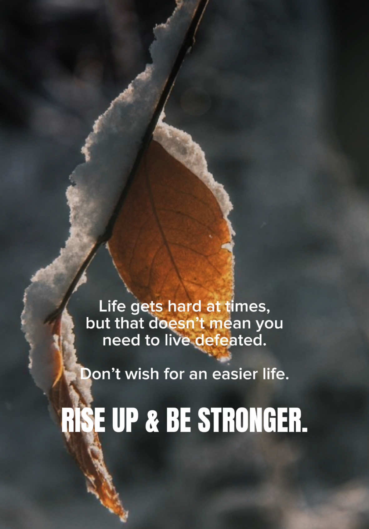 Rise Up & Be Stronger. #CapCut #lifequotes #lifethoughts #aesthetic #fyp #inspiration