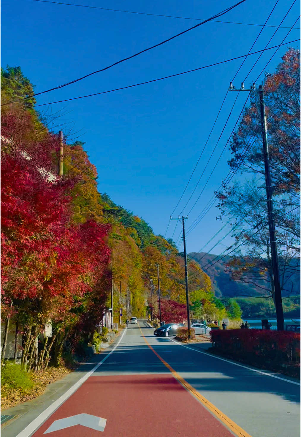 #kawaguchiko #河口湖 #河口湖紅葉 #autumn #driving #ドライブ #viral #trend #anime #虹 #relaxmejapan 