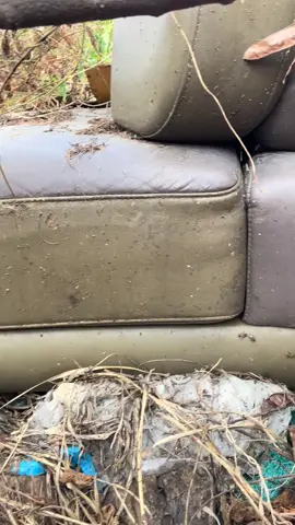 18 Types of Sofa Honey for Finding Bees on Flatland#OutdoorBeeHunting #OnsitePhotography #NewFarmerProgram #RuralLife 