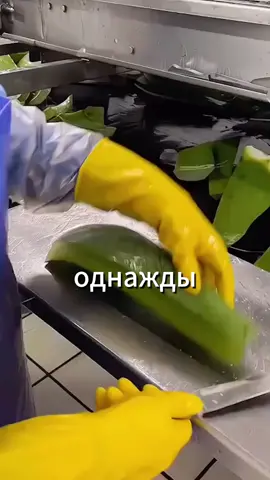 #новыйроблоксер #роблокс #обби #история #озвучка #паркур