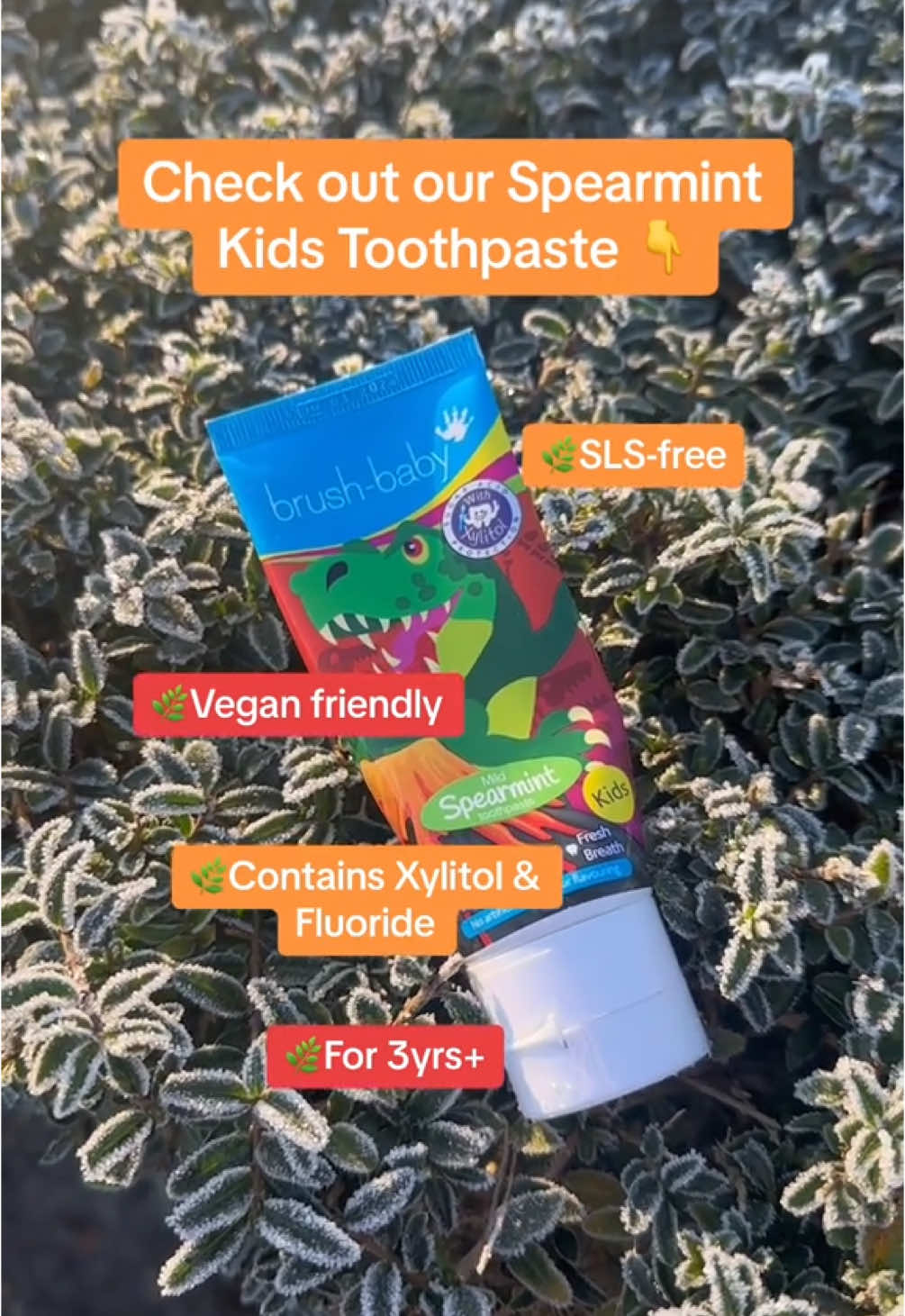 Freshen up your child's brushing routine this Christmas with these brush-baby essentials 🦖✨💙  #electrictoothbrush #oralcareforkids #oralhealth #kidsteeth #fyp #forkids #christmasgift #stockingfiller #dinosaur #winter #spearmint 