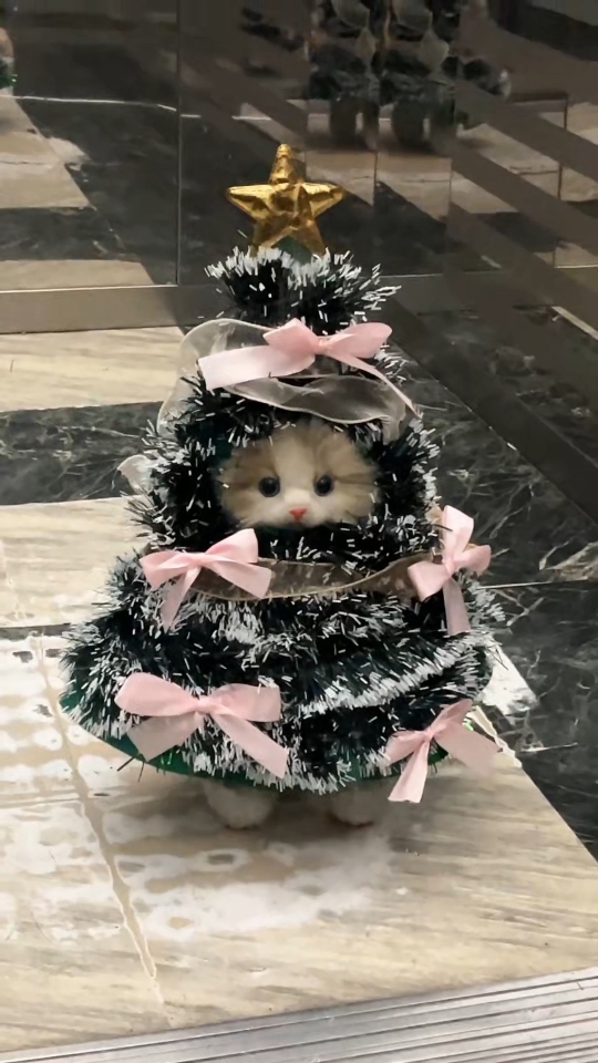 Encountering a Christmas tree kitten in the elevator #100WAYS TO OPEN #CHRISTMAS #CAT #CUTEPET #fyp 