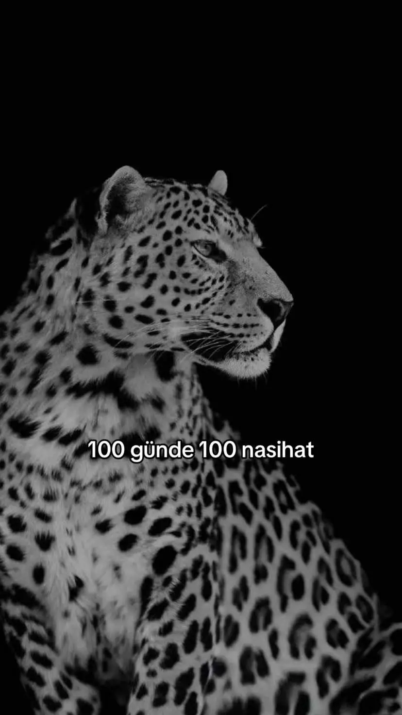 #100günde100nasihatt 