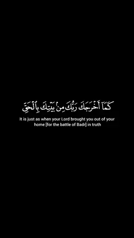 | الأنفال  | كما أخرجك ربك من بيتك بالحق  | ٥ - ٨ |  #قرآن #قرآن_كريم #القرآن_الكريم #القرآن #القرآن_الكريم🌺🤲 #القرآن_راحة_نفسية #تلاوة_خاشعة #تلاوة #آيات_قرآنية #تلاوات   #استمع_والاجر_لي_ولك_انشاءالله  #أرح_سمعك_وقلبك #راحة_نفسية  #quran #quran_alkarim #quranrecitation #quranvideo #tiktoklongs #viral #foryoupage #fyp  #أحمد_خضر 
