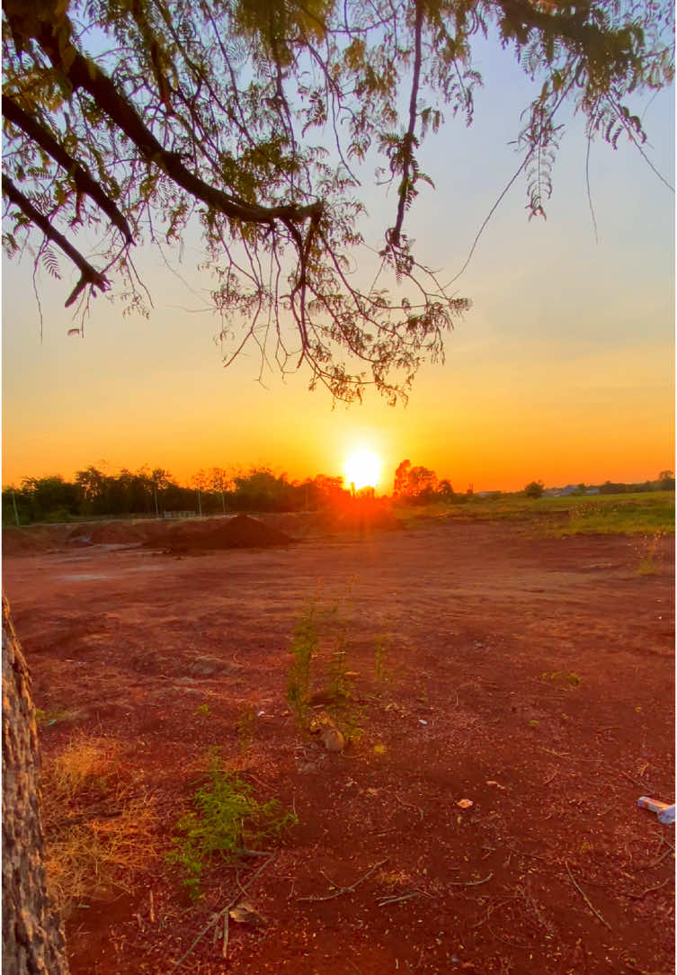 #ท้องฟ้า⛅🌈 #วิวบ้านนอก🍃 #ธรรมชาติบําบัด #สตอรี่_ความรู้สึก😔🖤🥀 #typ #เธรด #ขึ้นฟีดเถอะ @TikTok 