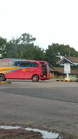 SIPIROK NAULI Starboy Mendarat Di Kota Jambi 🔥😎 #ptsipiroknauliexpres274 #starboy #sipiroknauli #sipiroknaulijambi #bussumatera #girasandisitompul #ngebisyuk #masukberandamu #fypシ゚viral #xybca #padahariini #CapCut @alattar274 