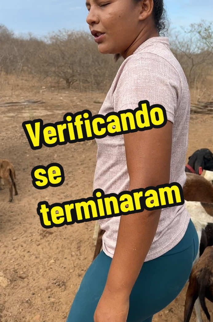 #vidanaroça 