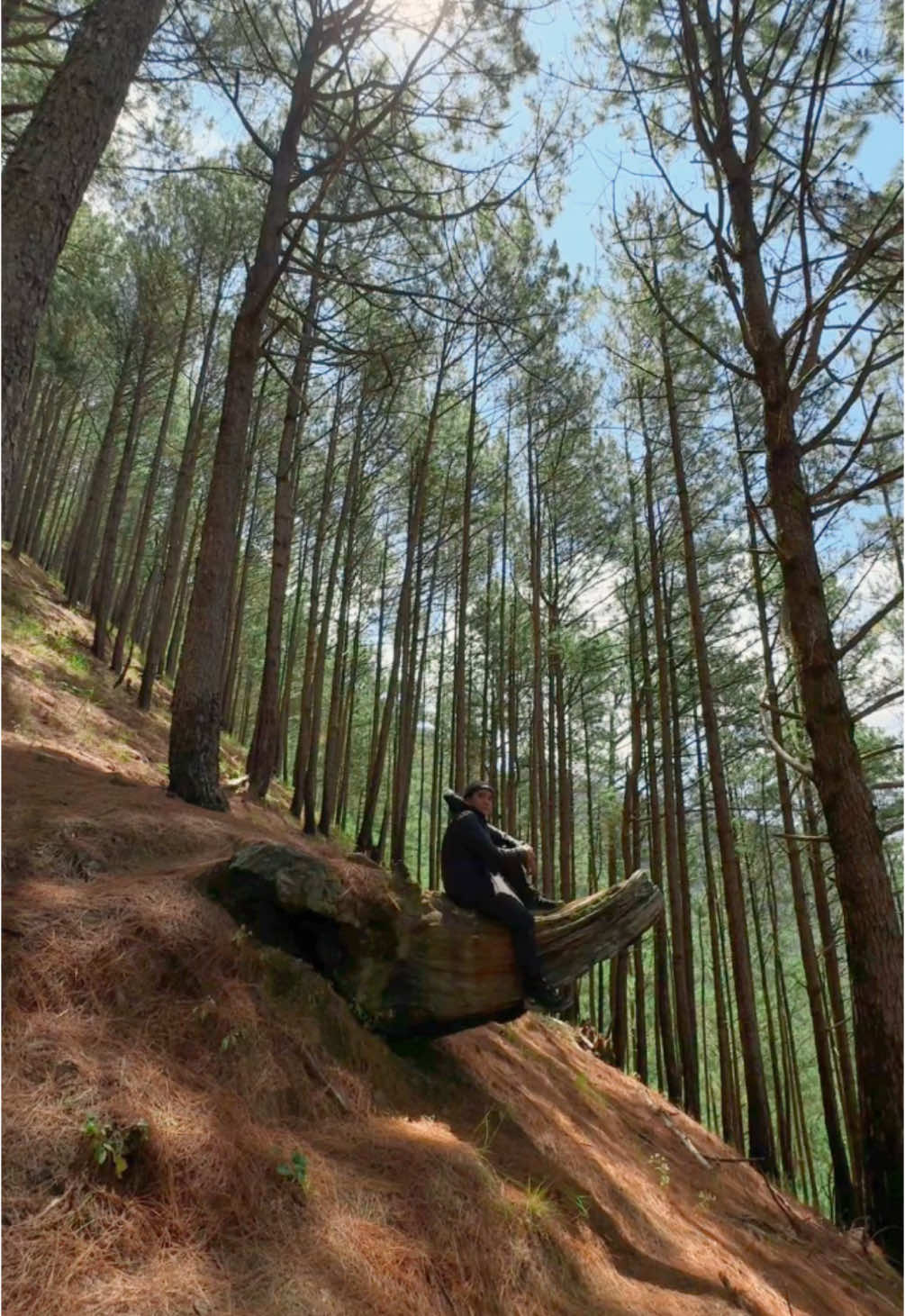 Being in the mountains has a way of quieting my mind and awakening my soul. Every step upward feels like shedding layers of stress, worry, and doubt. The higher I climb, the clearer my perspective becomes. #mountaintherapy #NatureLovers #MentalHealthMatters #SelfCare #Wellness #naturetherapy #hikingadventures 