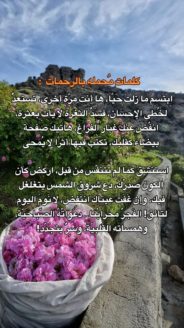 الفردوس الأعلى بلغنا ياالله 🤍 #يارب #🤍 #🌙  #tiktokindia  #بلال_دربالي 