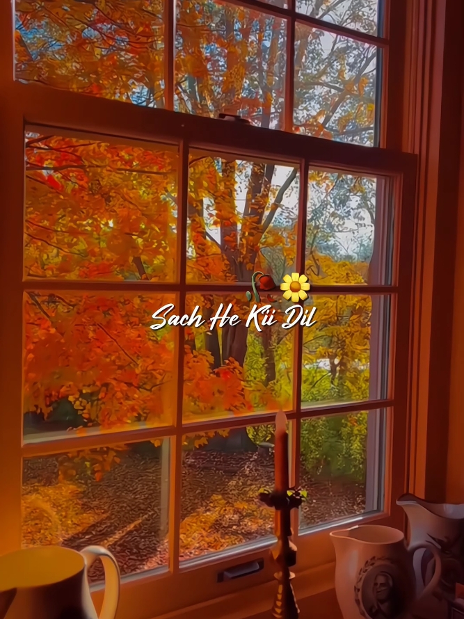 Sach heki dil toh❤️‍🩹💫🥀 #foryou #foryoupage #lyrics #lyricsvideo #trending #goviral #newsong #music_lover0129 