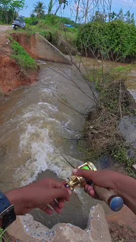 มุมหลบน้ำ 🍃 #streamfishing #platidtor #castinghampala #渓流釣り #fishing #ตกปลา #กระสูบน้ำไหล 
