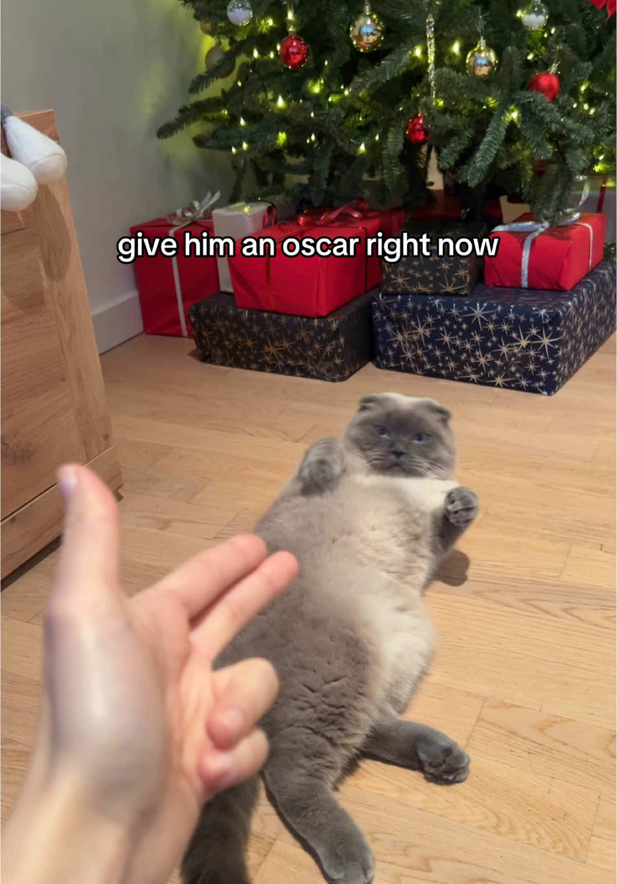 can ur cat play deaddd i dont think so #Cat #CatsOfTikTok #CatLover #CatLife #Kittens #Kitty #Meow #Feline #Caturday #CatMom #CatDad #FYP #ForYou #Viral #Trending #TikTokPets #FunnyCats #CuteCats #CatMeme #KittyCuteness #FluffyCat #GrumpyCat #SassyCat #LazyCat #HungryCat #PlayfulKitty #RescueCat #AdoptDontShop #BlackCatsRule #TabbyCat #FluffyFriends #CatChallenge #ShowMeYourKitty #PetTok #CatTikTok #cattricks #catdoingtricks 