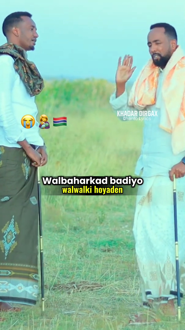 ali dhaanto iyo xarir walwalki hoyaden👩‍🍼😭 #jubalandtiktok🇸🇱 #ogadengirls #kismayotiktok #reecabdile🇬🇲🦁 #ogadenboys🇬🇲🇸🇴🇸🇴💖 #maxamedsubeer #duet #jigjiga #somalia #jigjigayar #Love #song #darwiish 