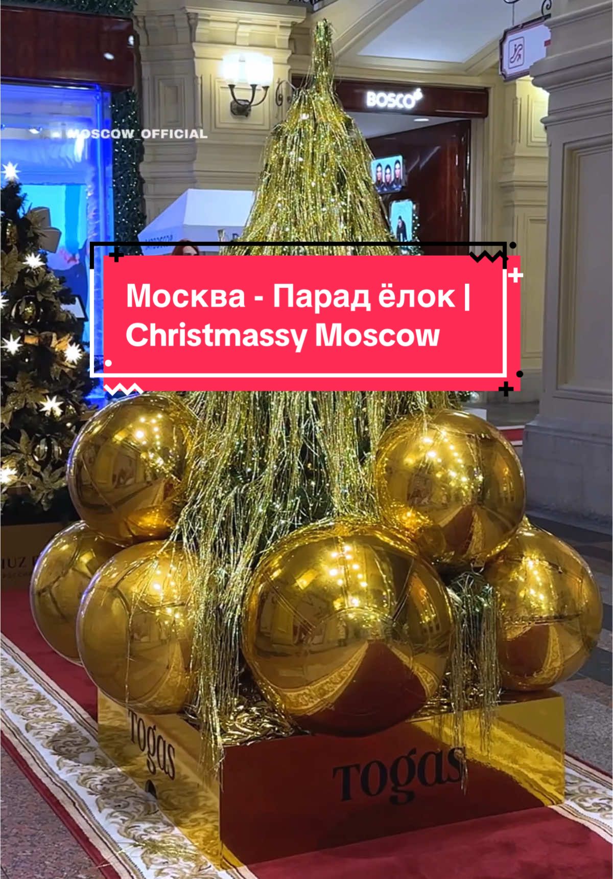 ✨ Новогодняя Москва. Парад ёлок 🎄 ГУМ на Красной площади // Christmassy Moscow 🎅🏻 #moscow #новогодняямосква #christmasmoscow #moscowchristmas #новыйгодвмоскве #москвановогодняя #москвановыйгод 