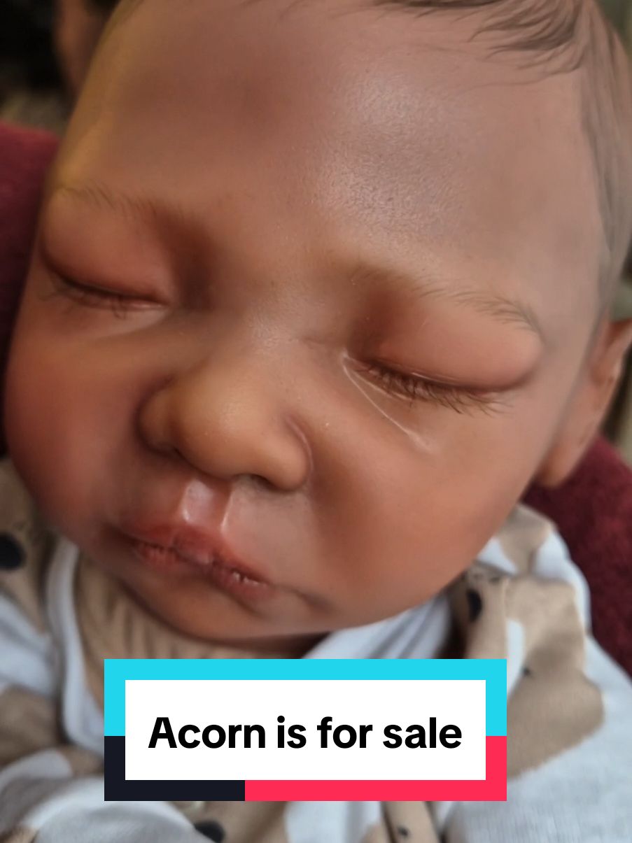 Cuddle baby Acorn is for sale! He is looking for a new home in time for Christmas ❤️ and as a cuddle baby is more budget friendly than my regular dolls. #fakebaby #rebornbaby #reborndoll #rebornsforsale 