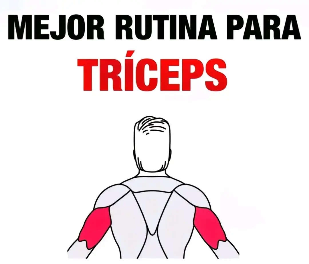 #tricep #gym #ejercicio #GymTok #triceratops #brazo #brazo35 #