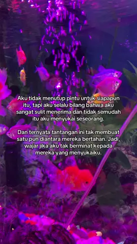 Ini terakhir habis itu terserah