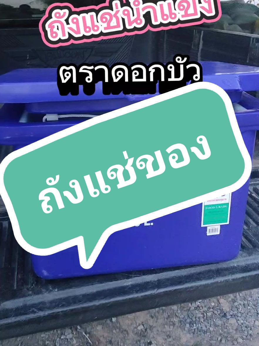 ถังน้ำแข็ง #ถังน้ําแข็ง  #ถังเก็บความเย็น  #ถังน้ำแข็งดอกบัว  #เทรนด์วันนี้้  #ขายดีมาก  #ถังน้ํา 