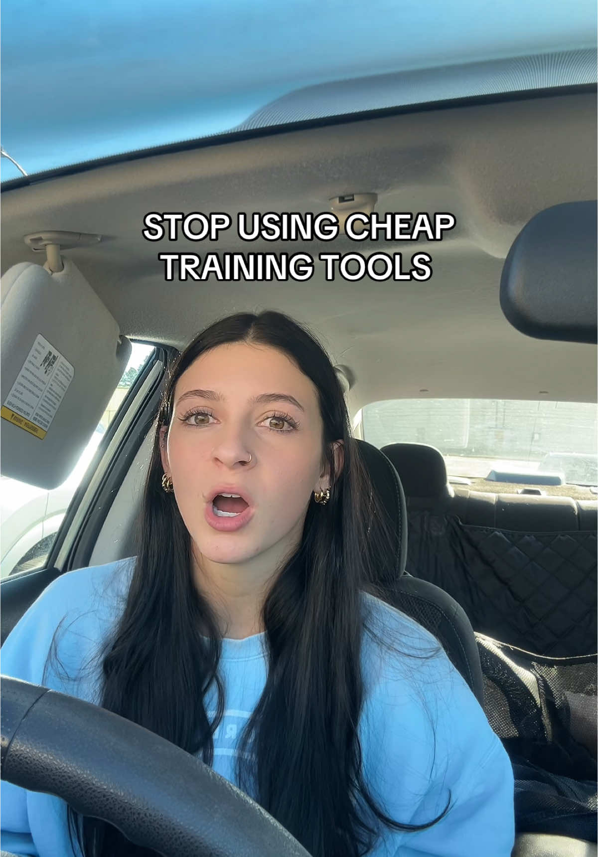 YOURE Embarrassing EVERYONE PLSSS PLSSS STOPPP #ecollar #ecollarsarenotshockcollars #trainyourdog #ecollartechnologies #minieducator #dogtrainingtips 