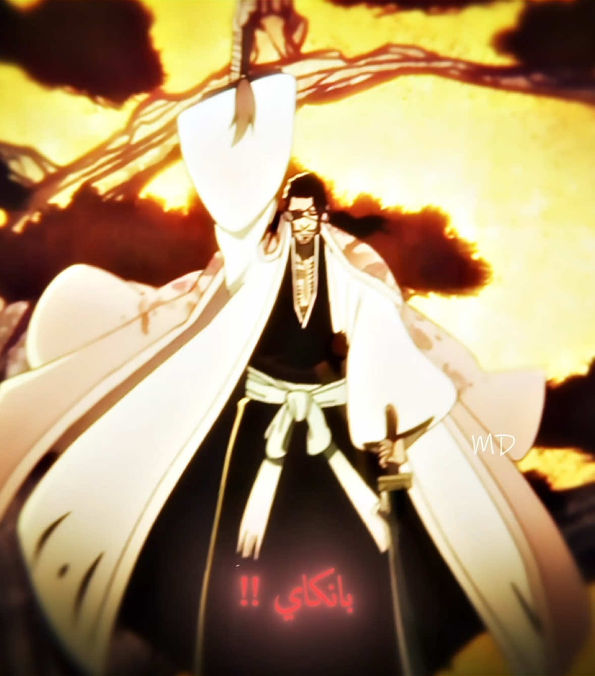 Captain of the gotei 13 squads 🔥🫡 #bleach #kyorakushunsui #shinsuikyoraku #بليتش 