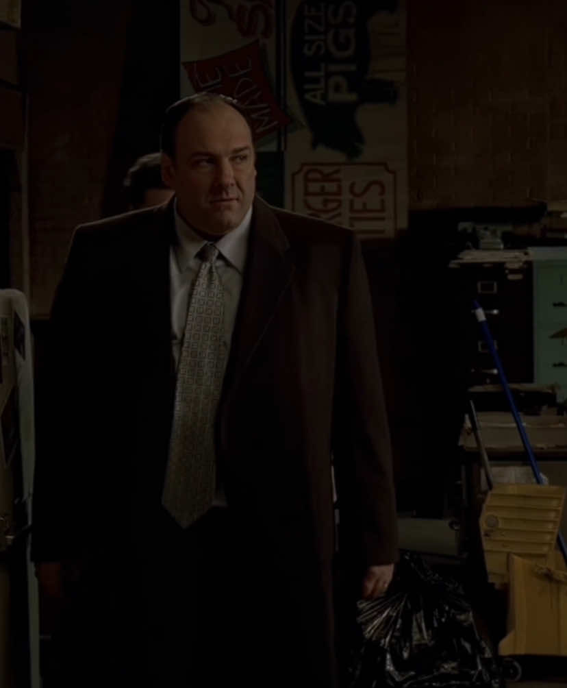 توني سبرانو x برنس و واجهة  #tonysoprano #sopranos #fyp #movie #explore #thesopranos 