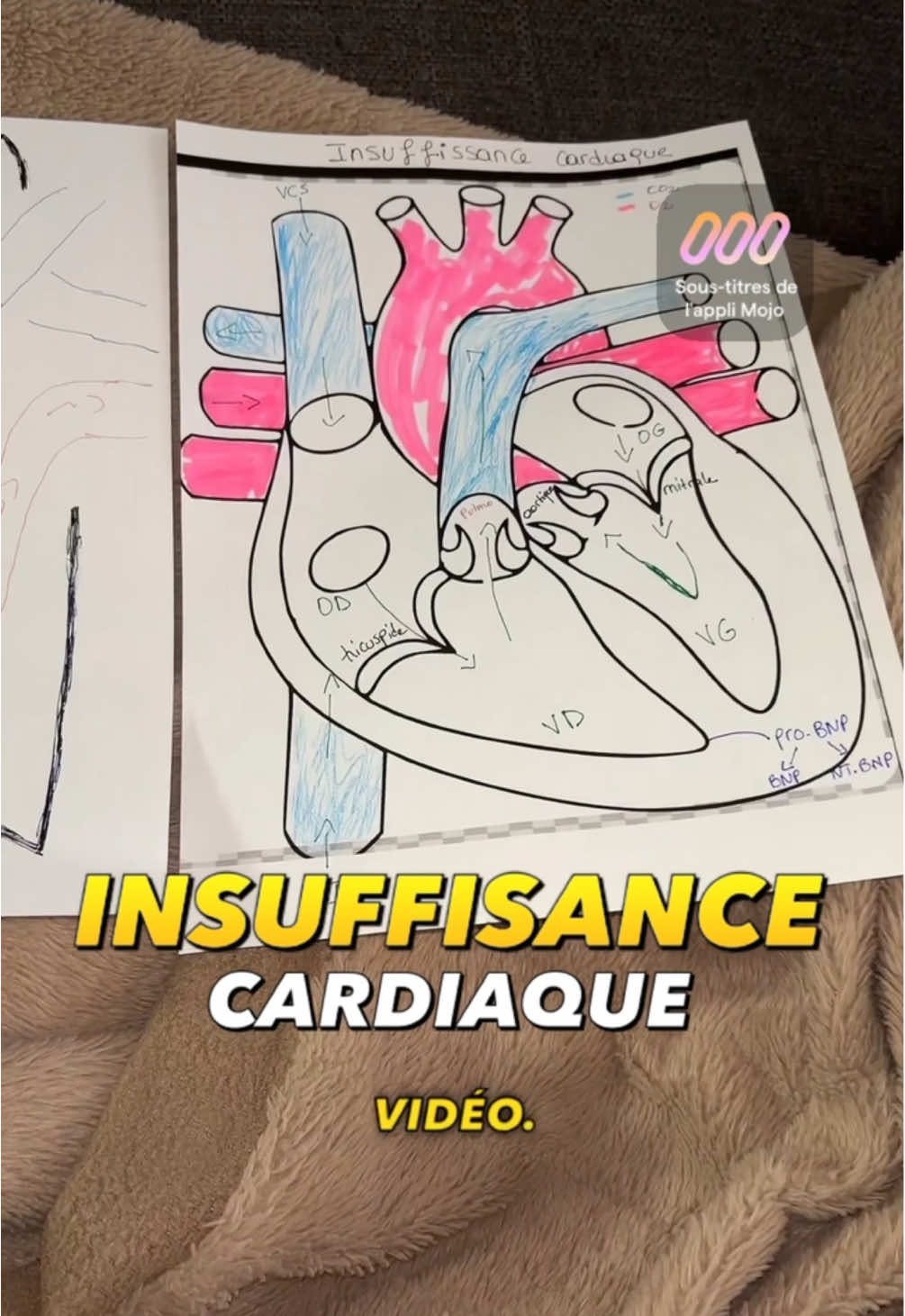 PRE-REQUIS POUR COMPRENDRE L’INSUFFISANCE CARDIAQUE #partie1 #MemeCut #fyp #nursesoftiktok #ifsi #infirmiere #regledebase #pourtoi #insuffisancecardiaque #eide #esi 