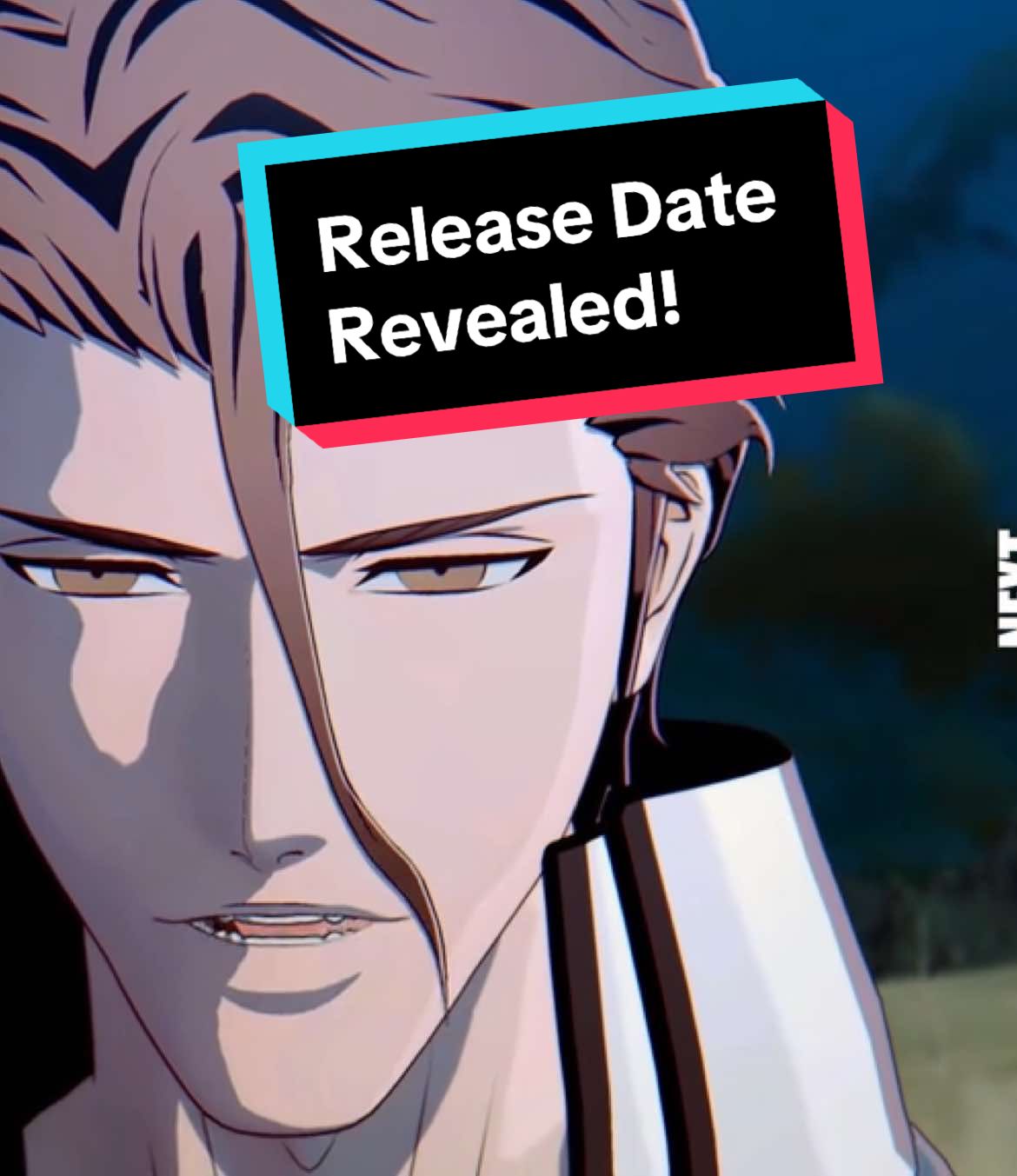 It is time for us to declare all-out war on these Ryoka. ACCEPT YOUR SOUL AND REVERSE FATE. BLEACH Rebirth of Souls comes to PlayStation, Xbox, and PC 3/21/25! Pre-order to get the THOUSAND-YEAR BLOOD WAR  COSTUME SET for #Hitsugaya and #Yoruichi! #gamingontiktok #animegame #bleachtybw 