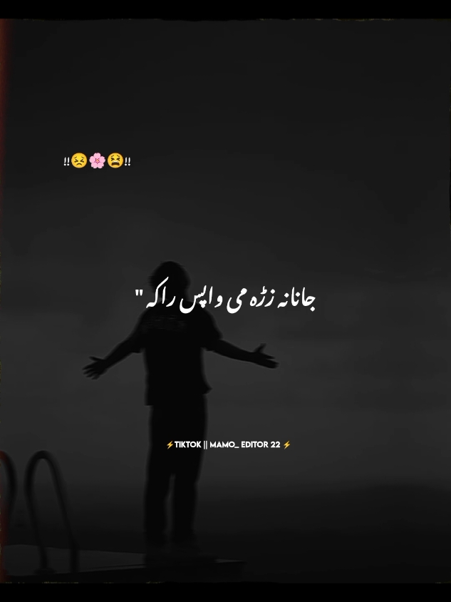 Janana zra mi wapes raka ❤️‍🩹🤒🖤#standwithkashmir #poshtosong #foryou #500k #mamoeditor22 #dertiktokteamdontunderreview #viewsproblem #unfreezaccount 