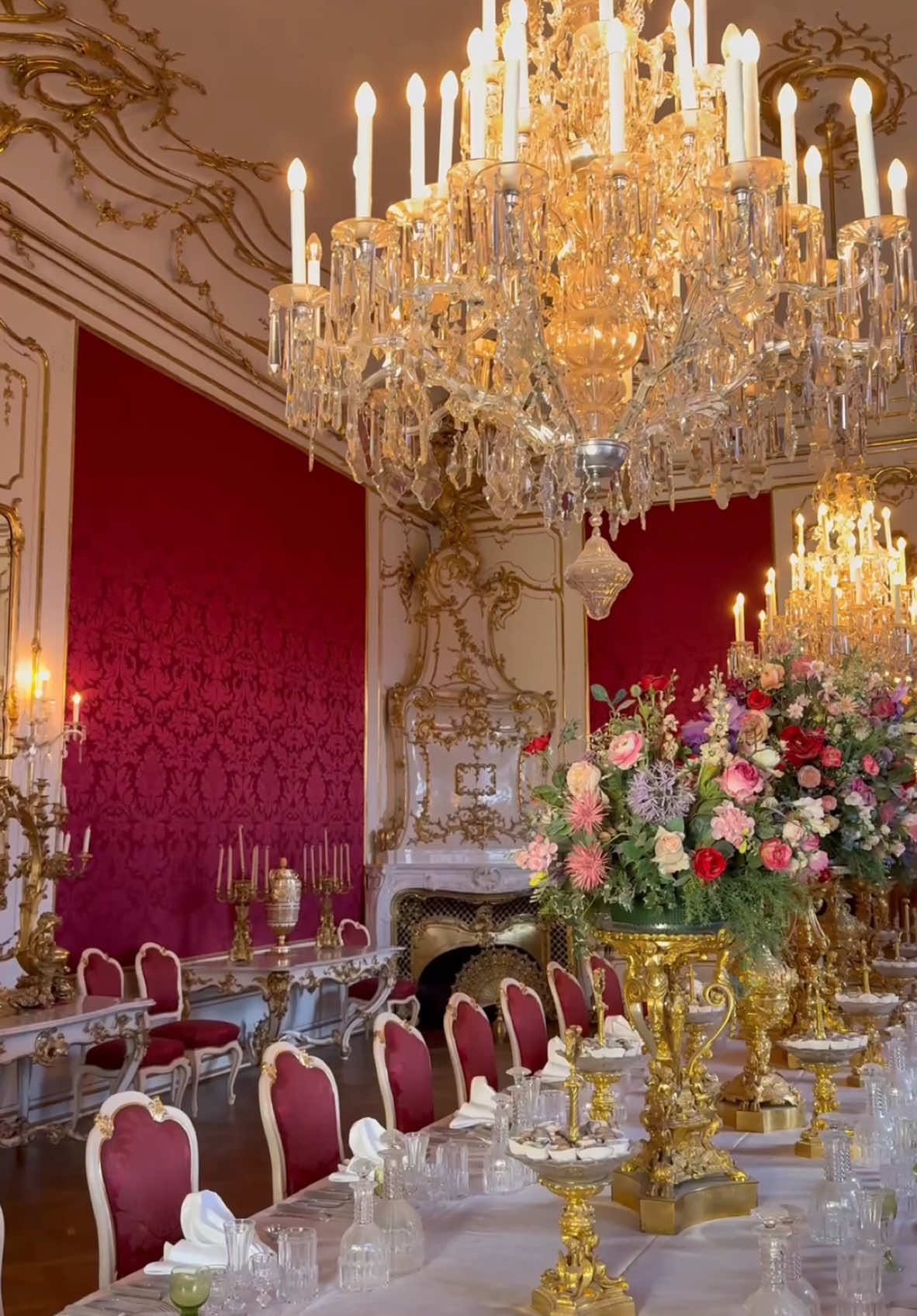 The Palace of Empress Sisi🤍👸 #empress #empresssisi #sisi #palace #hofburgpalace #vienna #royal #royalcore #vienna #monarchy #coquette #baroque #royalhistory #royalpalace #empresselisabeth #queen 