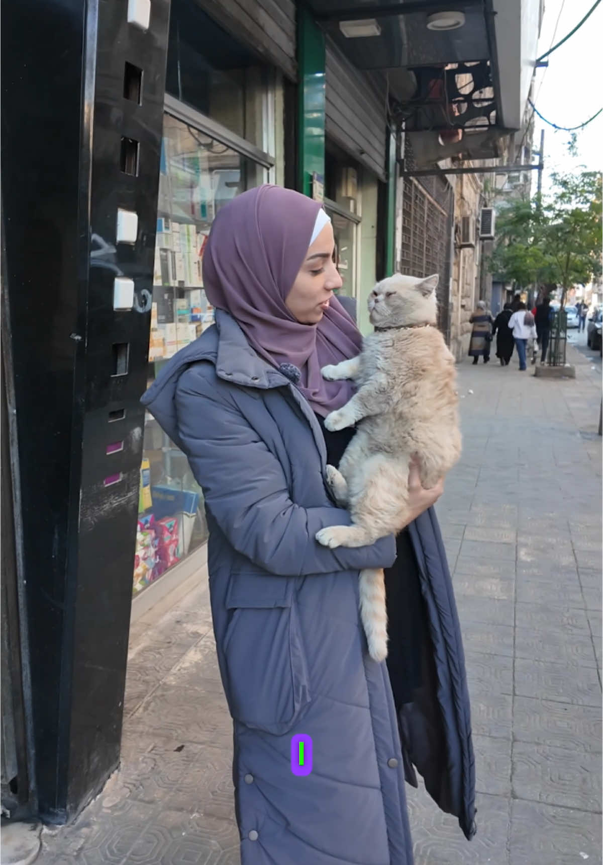 From #Aleppo city, meeting cats here. Ive just met one of the shops’ owners. Telling me about his cat, this cat has a family in Aleppo. 